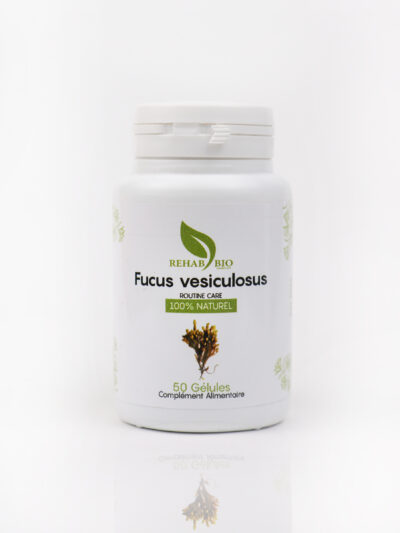 الفوقس الحويصلي