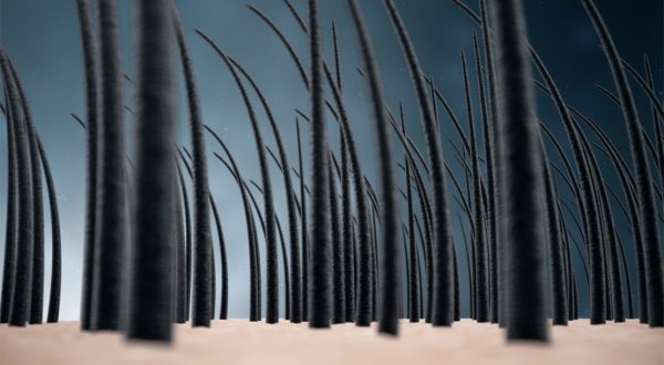 Rehab Bio Cosmetics - Huile anti-chute - Pourquoi 3